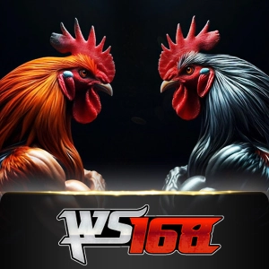 ws168 - sigamen137