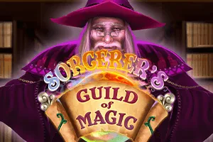 Sorcerers Guild of Magic - SIGAMEN137
